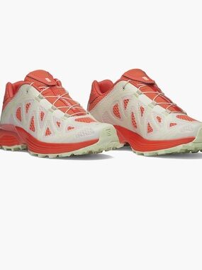 Salomon XT-Whisper. NWT